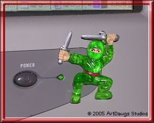 Ninjas Rock!